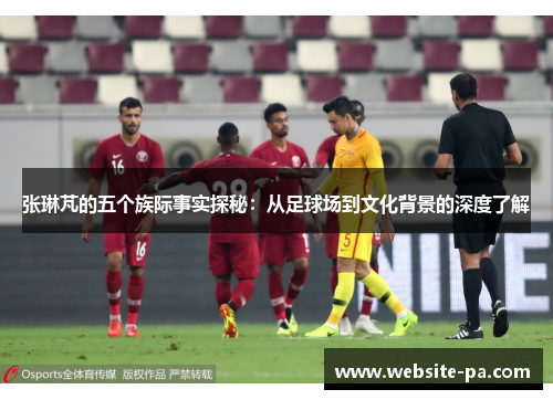张琳芃的五个族际事实探秘：从足球场到文化背景的深度了解