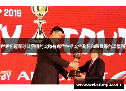 世界杯冠军球队获得的奖励有哪些包括奖金奖杯和荣誉等各项福利