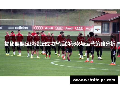 揭秘偶偶足球论坛成功背后的秘密与运营策略分析