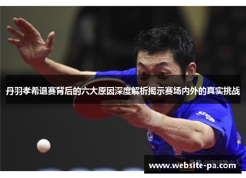 丹羽孝希退赛背后的六大原因深度解析揭示赛场内外的真实挑战