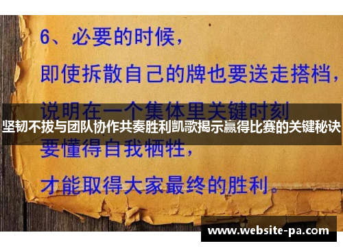 坚韧不拔与团队协作共奏胜利凯歌揭示赢得比赛的关键秘诀