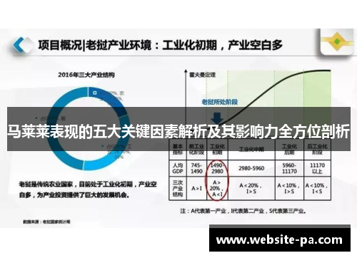 马莱莱表现的五大关键因素解析及其影响力全方位剖析 马莱莱表现的五大关键因素解析及其影响力全方位剖析