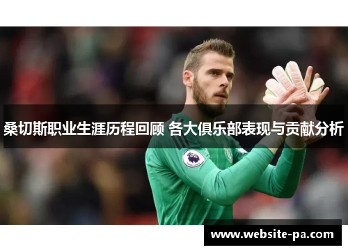 桑切斯职业生涯历程回顾 各大俱乐部表现与贡献分析