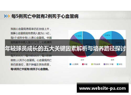 年轻球员成长的五大关键因素解析与培养路径探讨