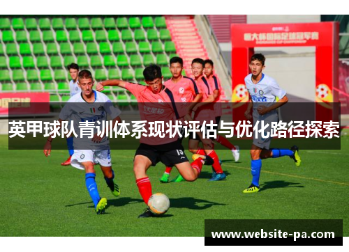 英甲球队青训体系现状评估与优化路径探索 英甲球队青训体系现状评估与优化路径探索